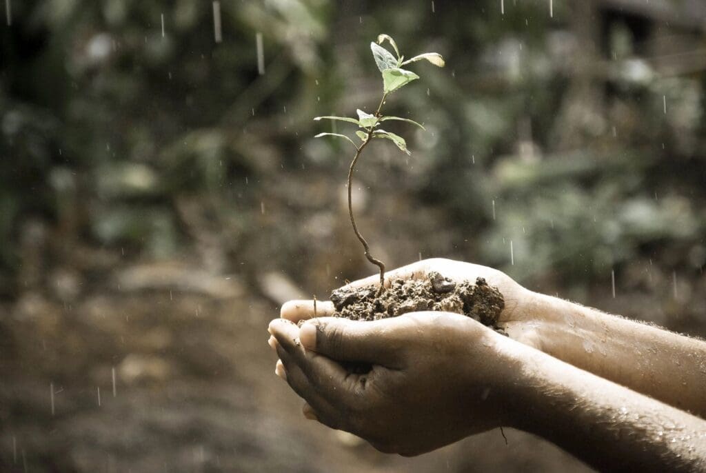 a child holding a plant during rain